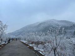 -浙西天池景区