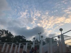 -九龙公园