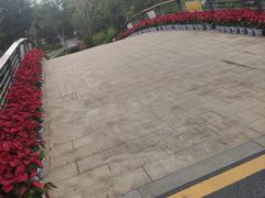 -牛岗山公园