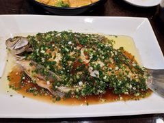 清蒸海鲈鱼-刘胖子家常菜·蹄花焖藕(中南店)