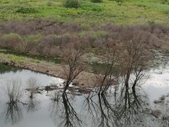 -阿尔山市大兴安岭奥伦布坎景区