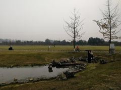 -夏河溪乡野公园