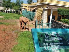-哈尔滨北方森林动物园