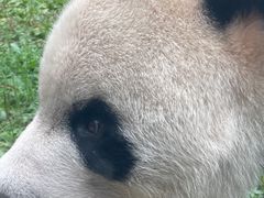 -黔灵山公园