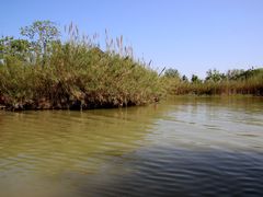 -泗洪洪泽湖湿地景区