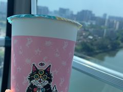 -幻彩摩天轮