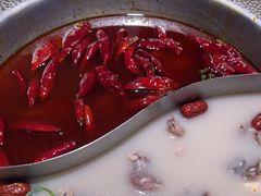 -麻田会 ·鲜活现烹·牛蛙火锅(珠江新城维家思广场店)