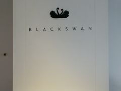-BLACKSWAN黑天鹅(环球店)