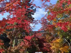 -醍醐寺