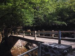-白云源风景区
