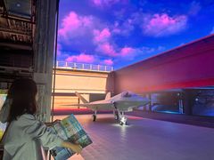 -泰达航母主题公园