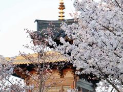 -上海辰山植物园