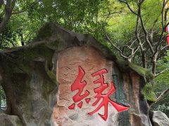 -杭州黄龙洞