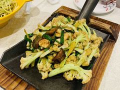 -邵年鸽(杨庄店)