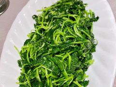 清炒鸡毛菜-新沸腾鱼乡(世贸天阶店)