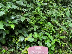 -古龙山大峡谷
