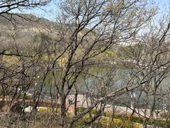 -大连植物园
