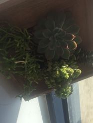 -爱儿美儿童摄影(奥森公园店)
