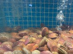 -良师门滨海人家·海鲜·家常菜(滨海城店)