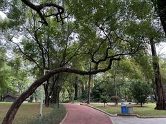 -晓港公园