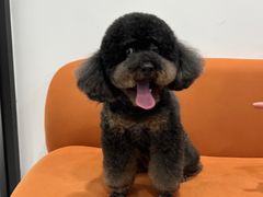 -1013 PET SHOP 宠物商店(近铁城市广场店)