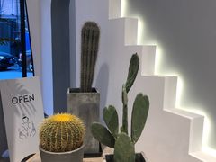 -Such A Cafe(798艺术园区店)