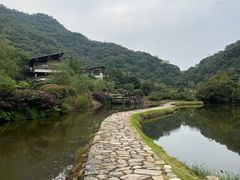 -桃花岭景区
