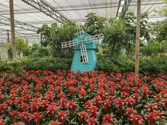 -南宫五洲植物乐园