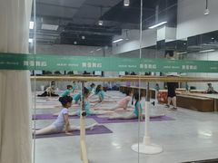 -舞蕾舞蹈(特长生校区)