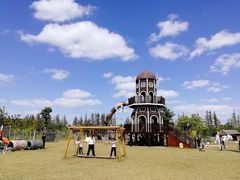 -上海长兴岛郊野公园