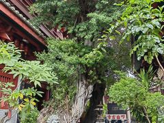 -叩齿古寺