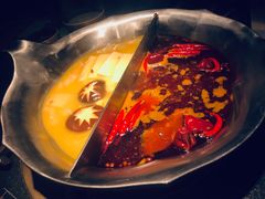 美颜花胶鸡锅和老四川风味麻辣锅-湊湊火锅·茶憩(石家庄万象城店)