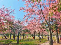 -风云岭森林公园