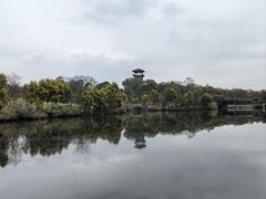 -张坝桂圆林公园
