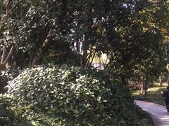 -杭州城北体育公园