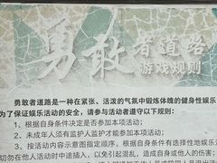 -上海滨江森林公园