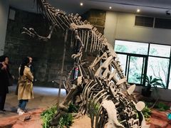 -自贡恐龙博物馆