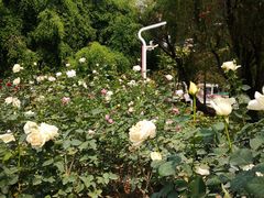 -人民公园(罗湖区)