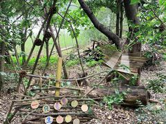 -华侨城湿地公园