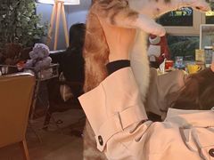 -咖法森林·咖啡  酒吧(天河店)