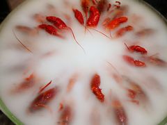 冰镇小龙虾-红钳侠小龙虾·烧烤(中赢康康谷店)