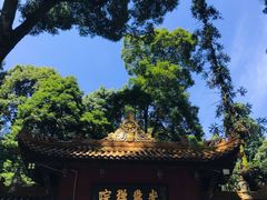 -凤栖山