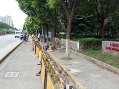 -卜蜂莲花(杨高南路店)