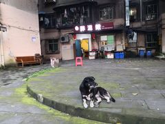 -邱氏胖泥鳅(大堰店)