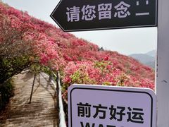 -木兰云雾山