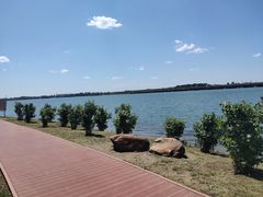 -丁香湖公园
