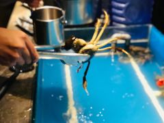 -星伦多自助料理·涮烤一体(嘉兴八佰伴店)