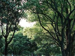 -星巴克臻选(宁波天一广场店)