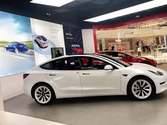-TESLA 特斯拉(郑州正弘城体验店)