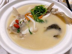 东坡河豚-肆月河豚·新淮扬(金融街店)